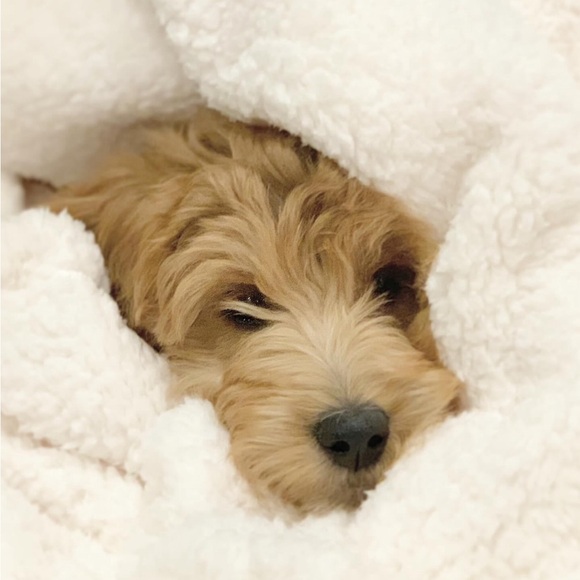 Meet your Posher, Ameeta - Picture 2 of 6